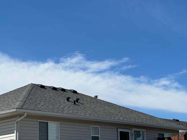 Fast & Reliable Emergency Roof Repairs in Richton Park, IL